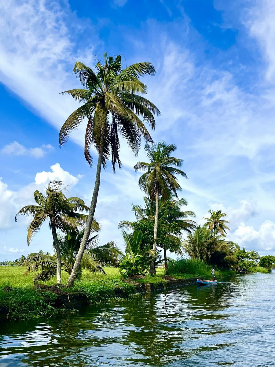 Palm-fringed Kerala backwater under a blue sky