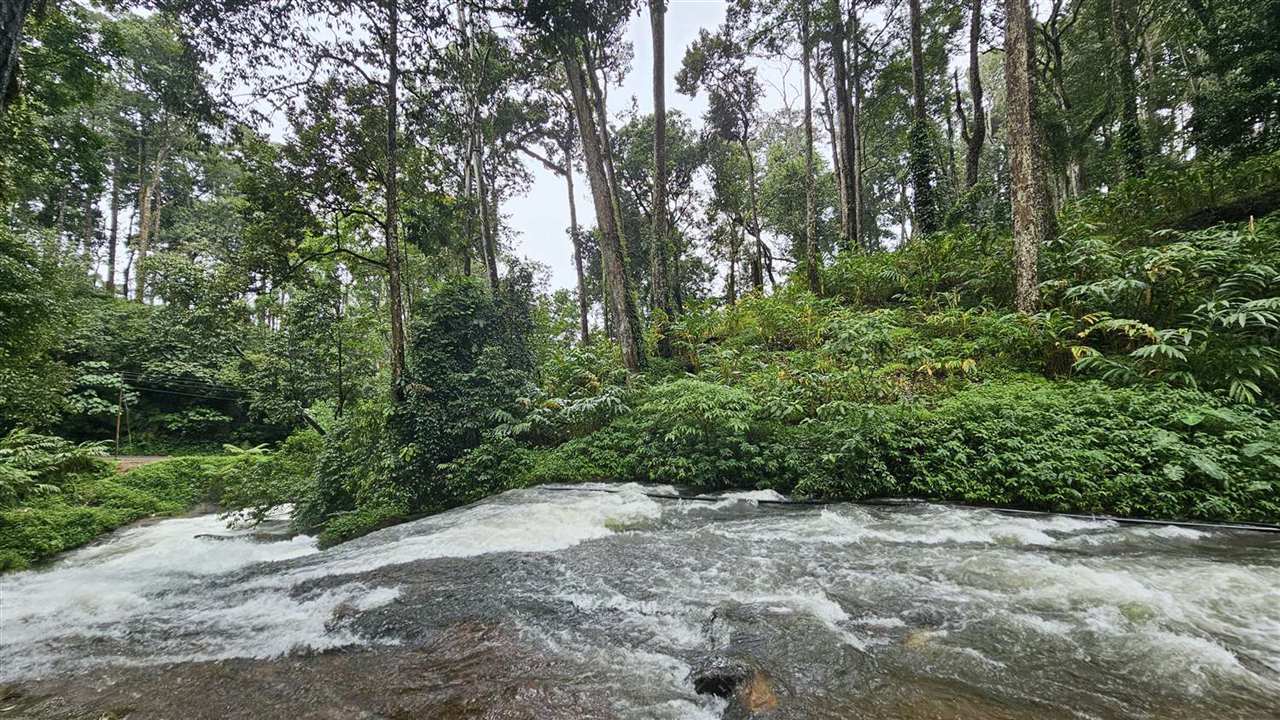 A forest stream running over rocks in Kerala's hills