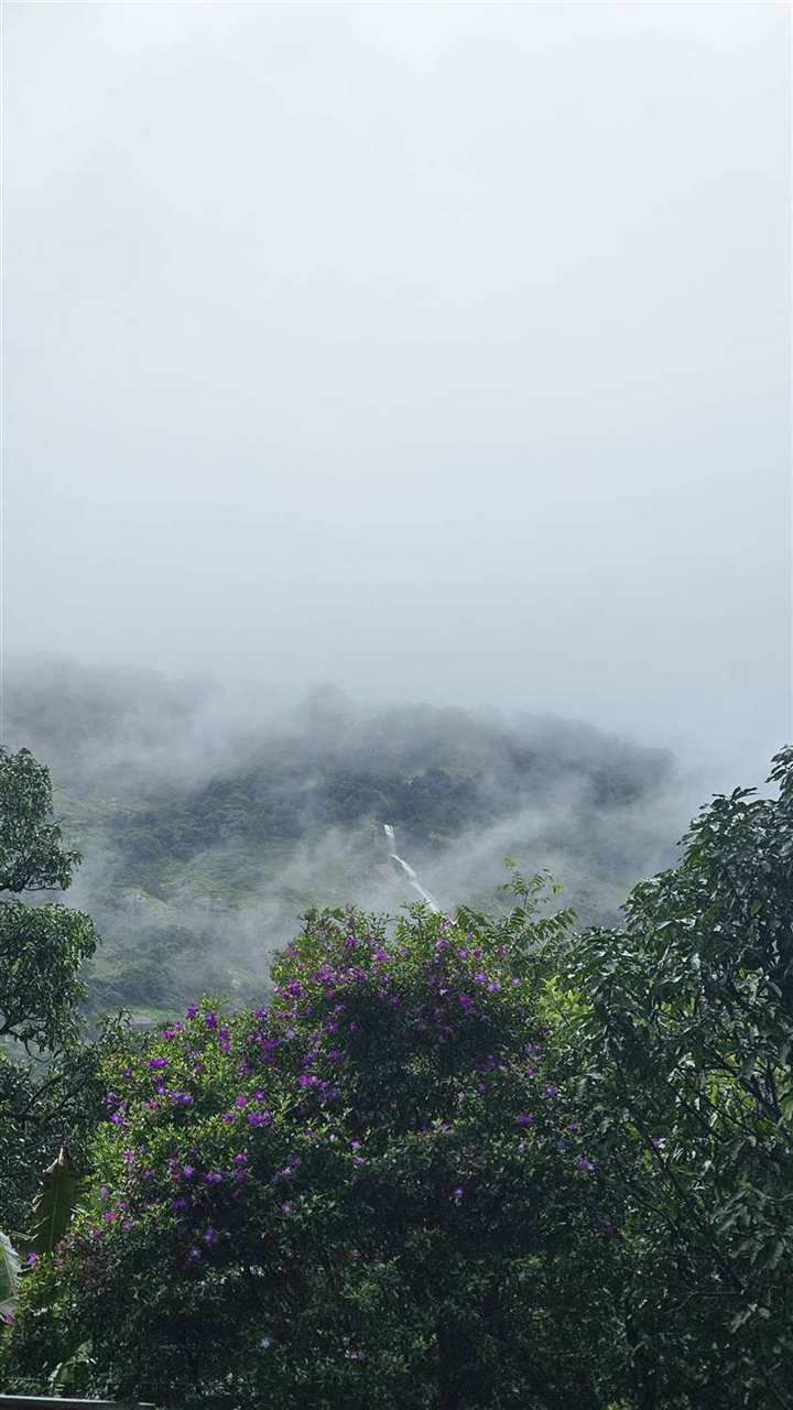 Mist and a waterfall in the Western Ghats