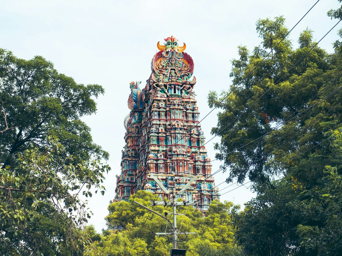 Colourful gopuram tower of a Tamil Nadu temple rising above the trees