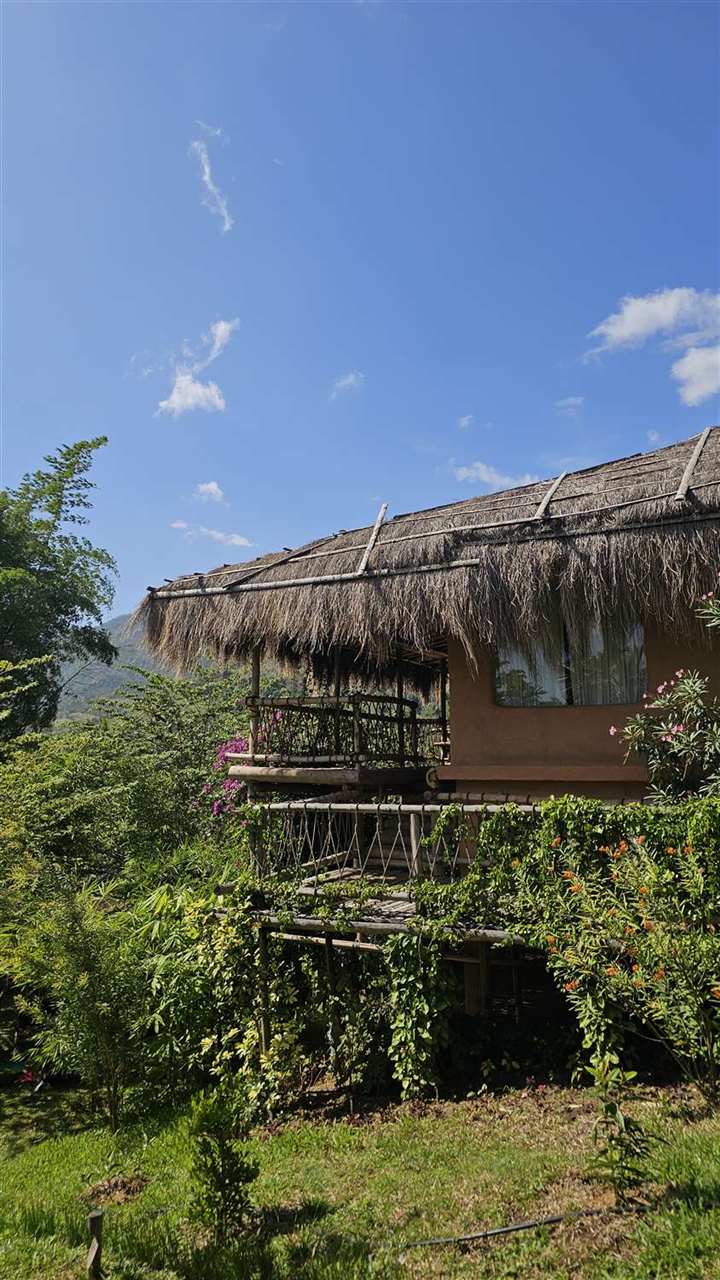 A thatched hillside cottage among trees